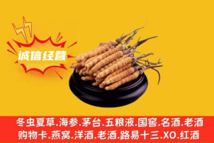 百色西林县回收冬虫夏草